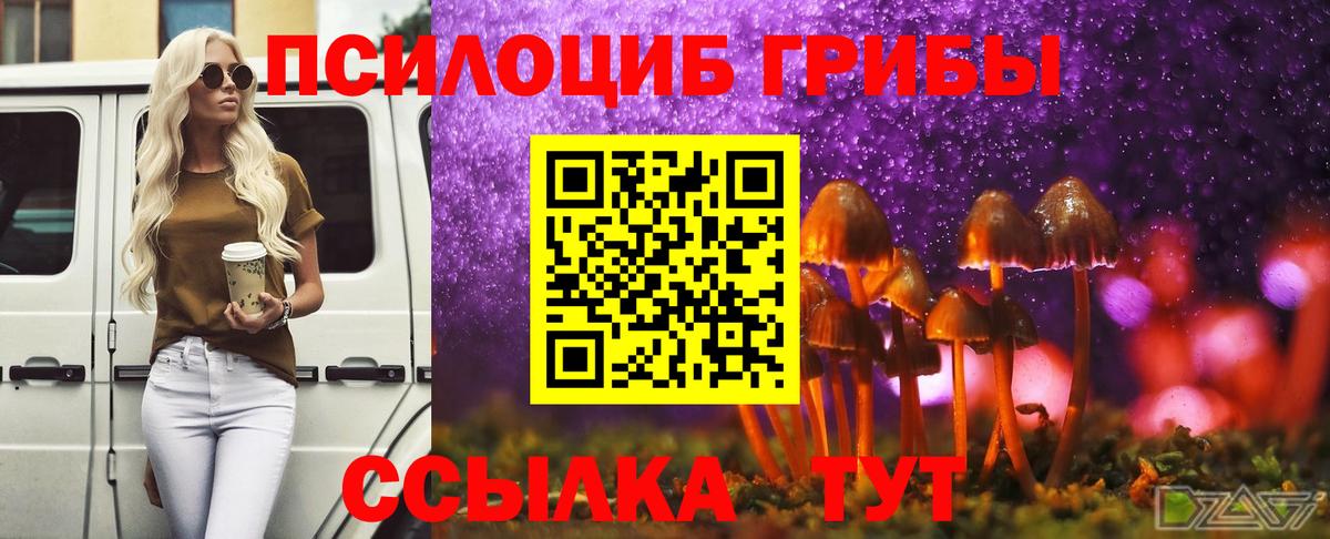 Пенза  где купить наркоту  Вход с VPN  Галлюциногенные грибы прущие грибы 
